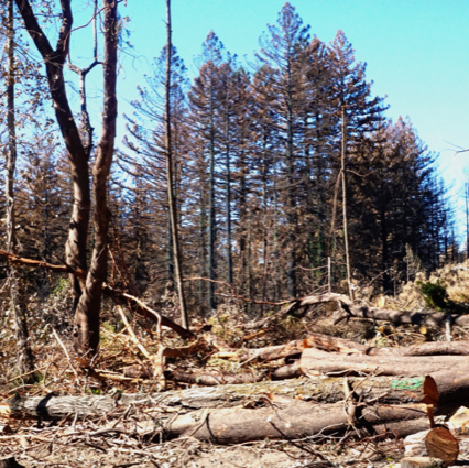 Debris removal problems