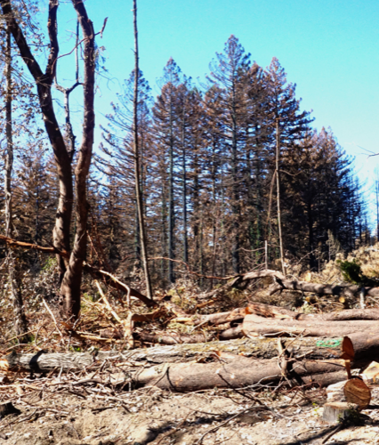 Debris removal problems